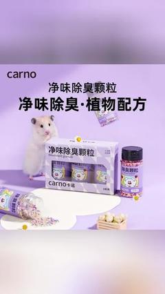 寵物除臭推薦 打造清新居家環境的芳香用品指南